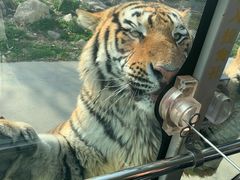 -西安秦岭野生动物园