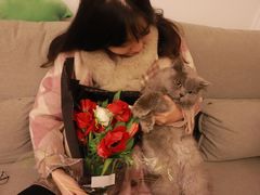 -萌兽医馆·宠物医院·猫骨科(创景店)