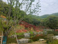 -岳麓山风景名胜区