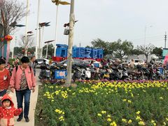 -万顷园艺世界