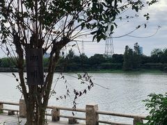 -黄埔古港