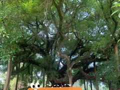 -生态苑农庄(十里画廊遇龙河店)