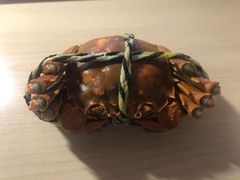 -七的湖·晚芳亭·阳澄湖农家菜·大闸蟹(莲花岛店)