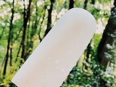 -上海佘山国家森林公园西佘山园