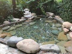 -天目湖涵田半山温泉