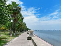 -集美学村
