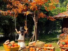 -HERRE·FARM 赫尔露营农场·团建聚会包场