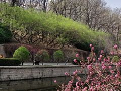 -元大都城垣遗址公园