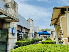 -真爱中国餐馆·年华店(朱雀大街店)