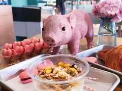 -WHEN PIGS FLY当猪飞