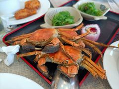 -东方红海鲜百汇(国际大厦店)