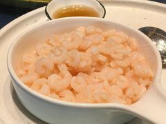 清炒河虾仁-王记姚家味·地道苏帮菜(凤凰街店)