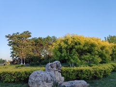 -天津东丽湖风景区