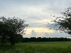 -苏州湾体育公园