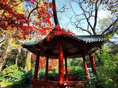 -中山公园