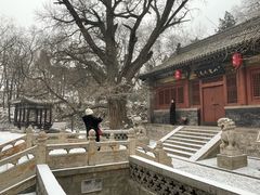 -晋祠公园