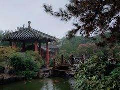 -中国唐苑