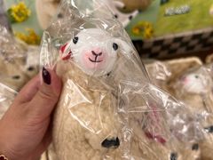 -神户市立六甲山牧场