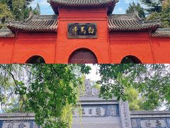 -洛阳白马寺