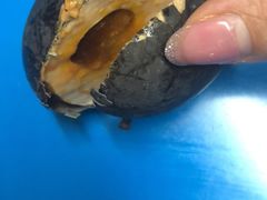 -刘老虎肉丸糊辣汤(总店)