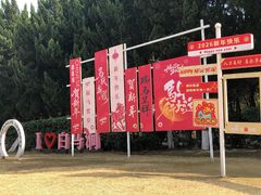 -白马涧龙池景区