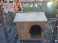 -青岛鑫江温德姆酒店