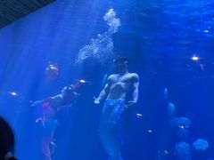 -华夏文旅海洋公园