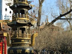 by&nbsp;刀哥-哈尔滨极乐寺