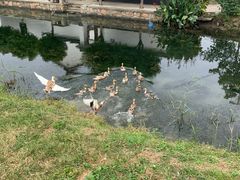 -乡乐园蟹庄·阳澄湖农家乐