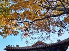 -南翠屏公园