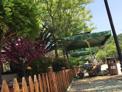-东湖食堂·湖景餐厅•会议