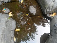 -云岫谷自然风景区