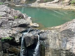 -广州白江湖森林公园