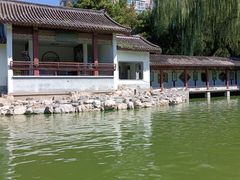 -团结湖公园