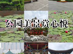 -迎泽公园