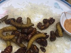 -即墨印象