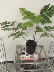 -J Eleven型人坊旗舰店