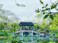 -西溪国家湿地公园