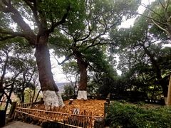 -鼓楼(西湖风景名胜区)