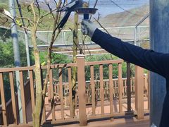 -燕塞湖鸟语林景区