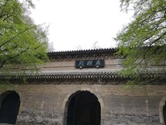 -灵谷景区