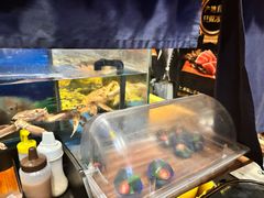 -千代武日本料理(哈西店)