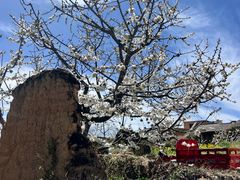 -萝卜寨羌文化生态旅游区