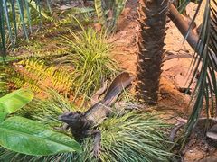 -上海大自然野生昆虫馆(东方明珠·爬宠昆虫探索中心)
