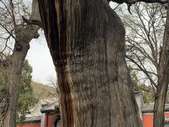 -晋祠博物馆