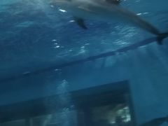 -波塞冬旅游度假区