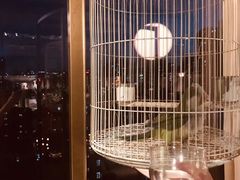-The ROOF (通盈中心店)