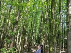 -山王坪喀斯特国家生态公园