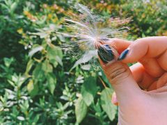 景点-福清灵石山国家森林公园