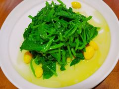 银杏高山豌豆尖-眉州东坡(大悦城店)